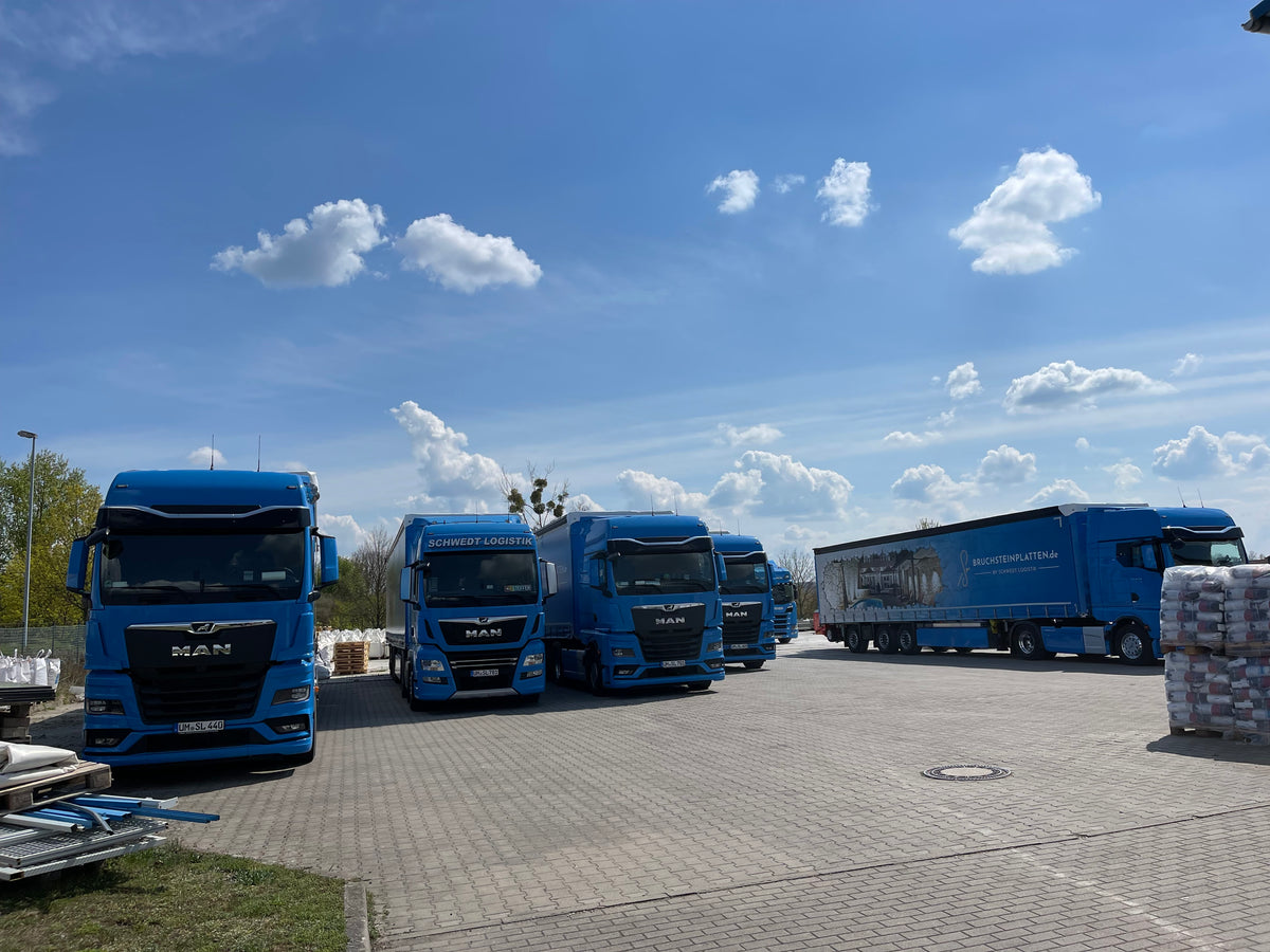 Fuhrpark von Schwedt Logistik mit modernen MAN-LKW für nationale und internationale Transporte